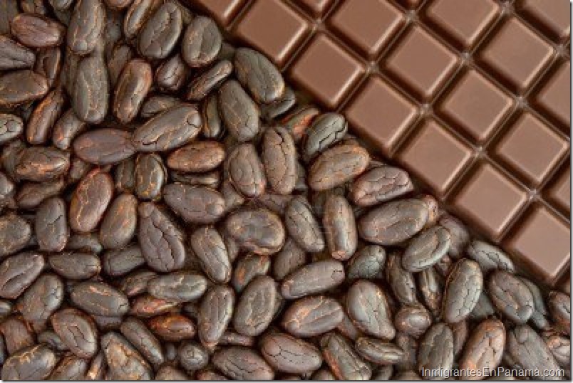 cacao-panama-exportacion