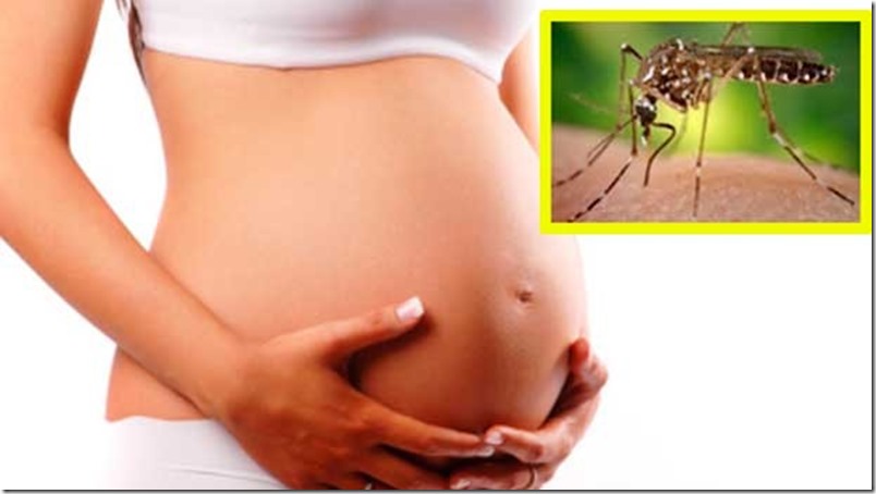 embarazos y zika