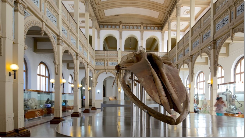 Museo Nacional de Historia Natural chile