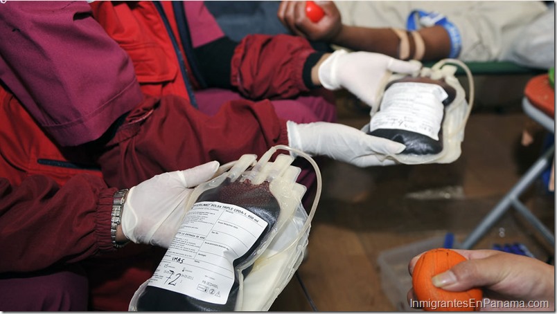 donacion-de-sangre-panama-foto-afp