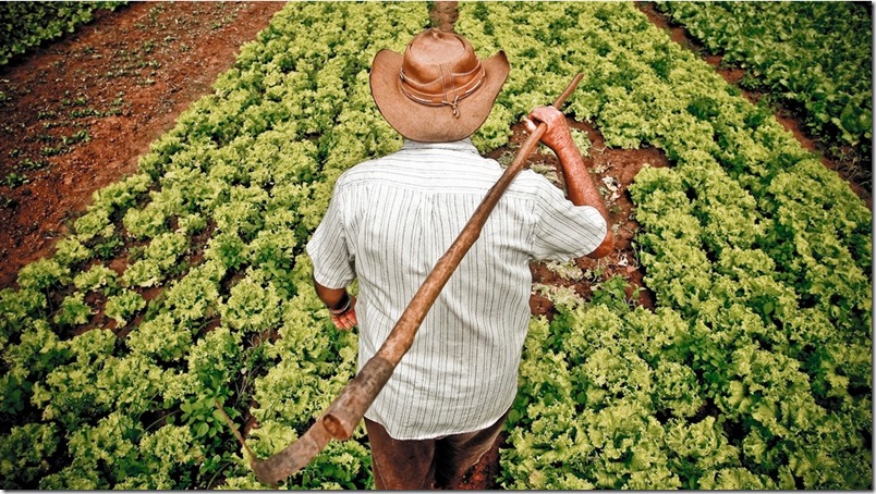 Agricultura - Foto_ HorizonteCero Argentina